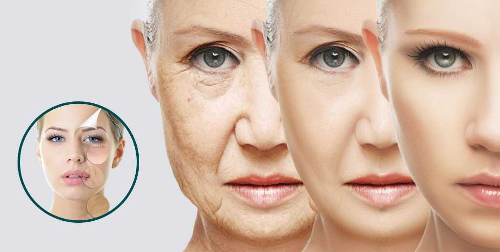 The Benefits of NMN Supplements for Anti-Aging in 2025