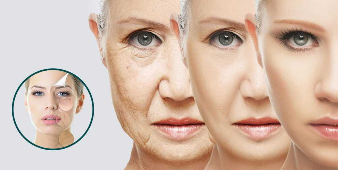 "Taking collagen keeps skin elastic but won't stop wrinkles, say scientists" - SellHealth UK