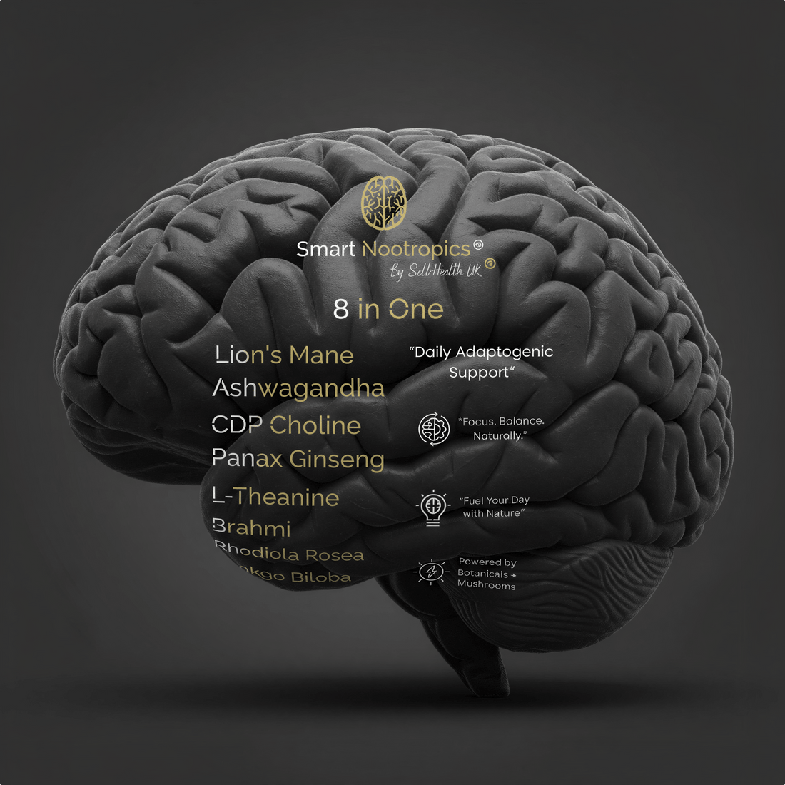 Smart Nootropics 8-in-1 - SellHealth UK