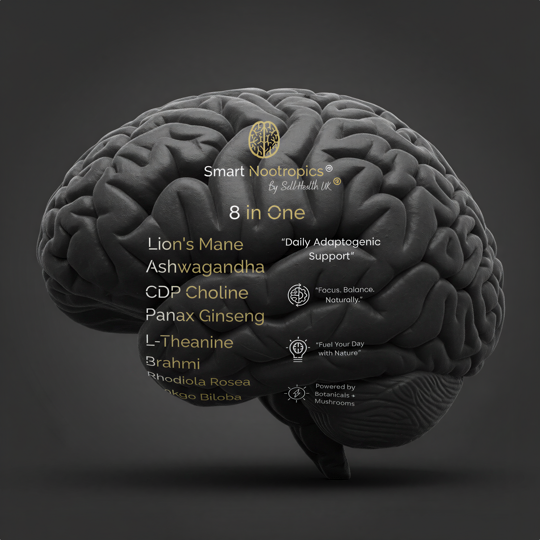Smart Nootropics 8-in-1