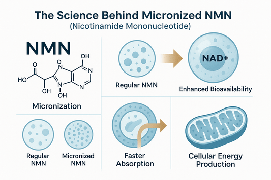 Science Behind Micronized NMN and Its Advantages - SellHealth UK