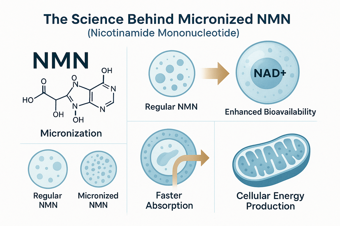 Science Behind Micronized NMN and Its Advantages
